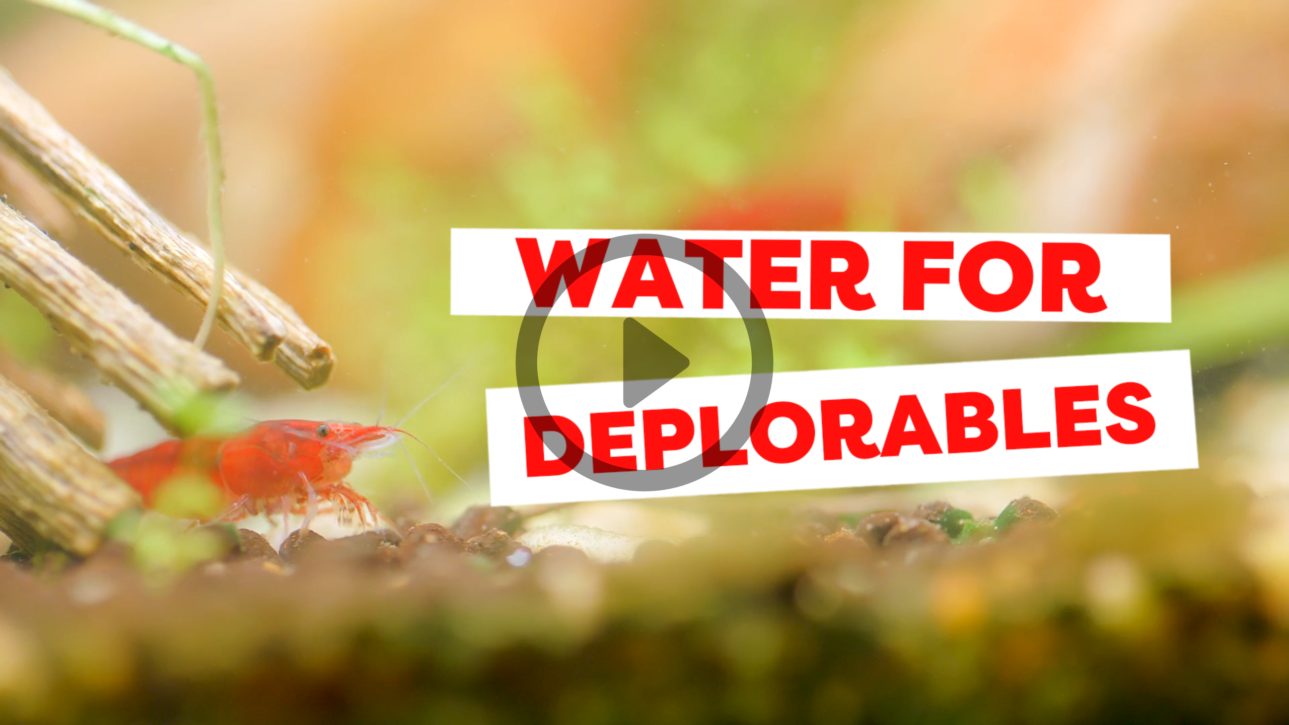 Water For "Deplorables"